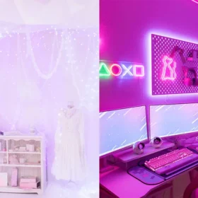 スタジオサキュバス