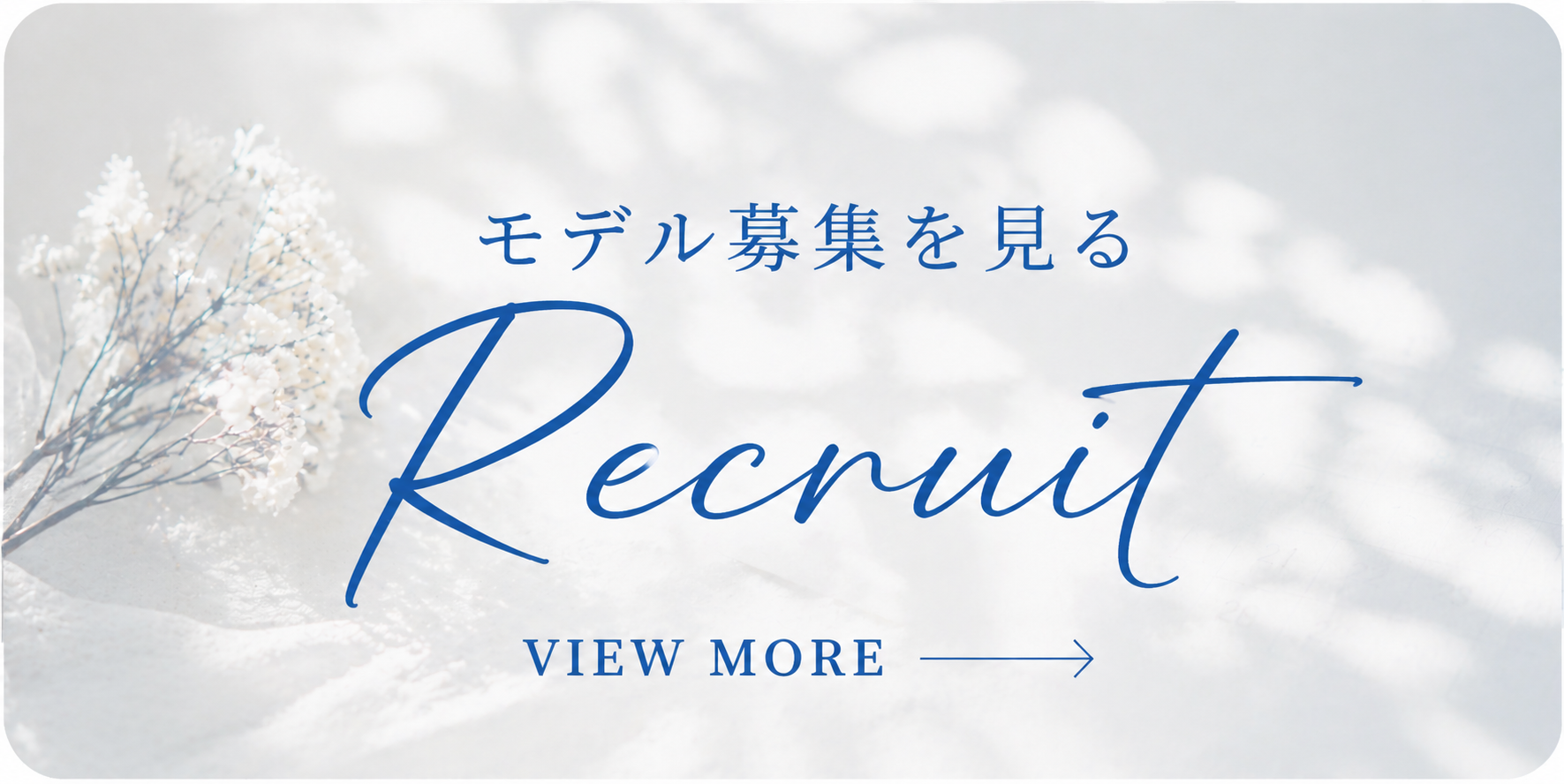 モデル募集ページを見る