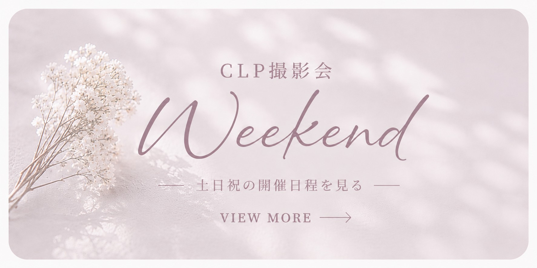 CLP撮影会の開催日程を見る
